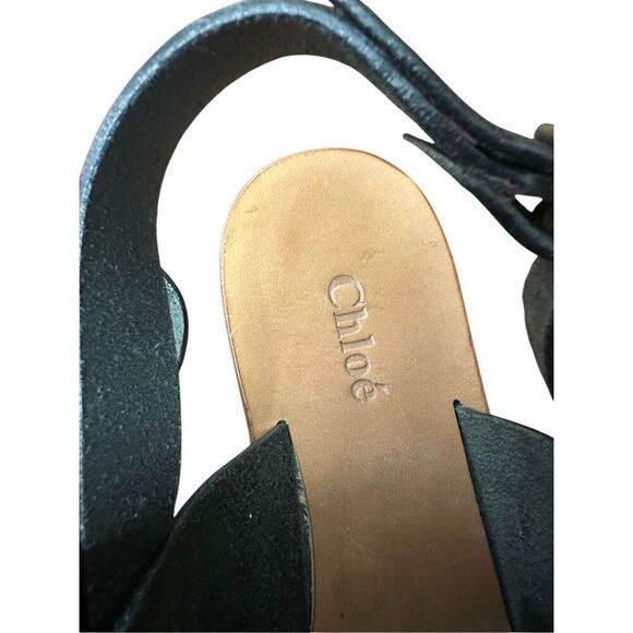 Chloe  - Picture 6 of 8